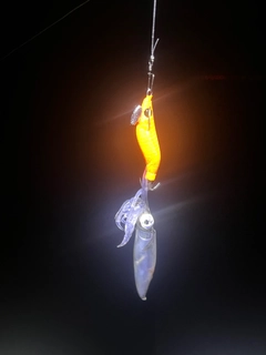 マメイカの釣果