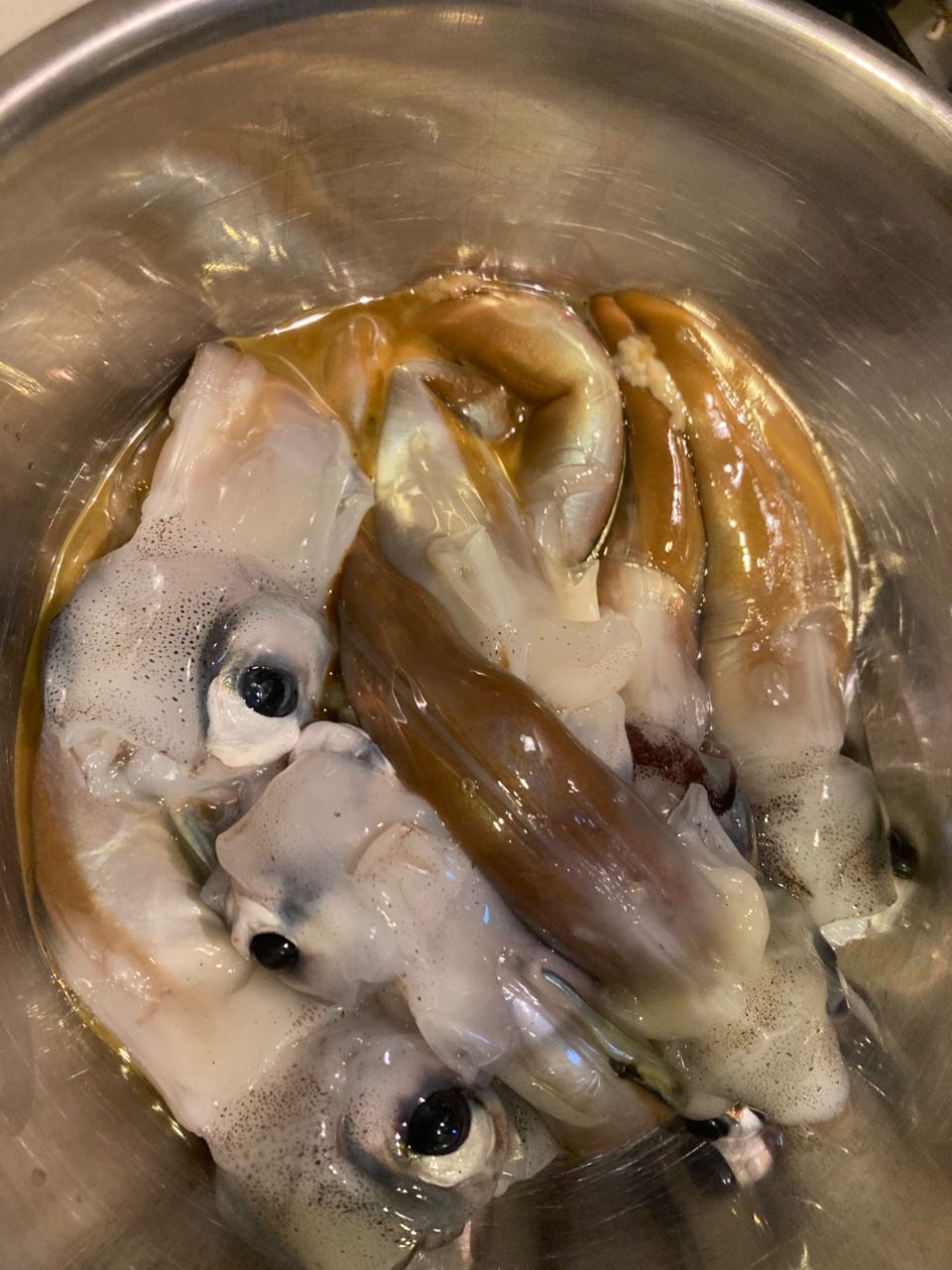 ドッコイサーさんの釣果 2枚目の画像