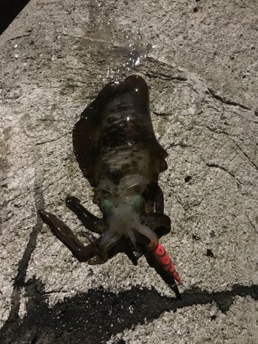 千酌湾