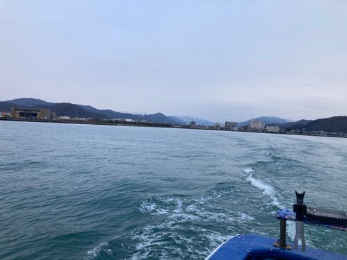 小浜湾