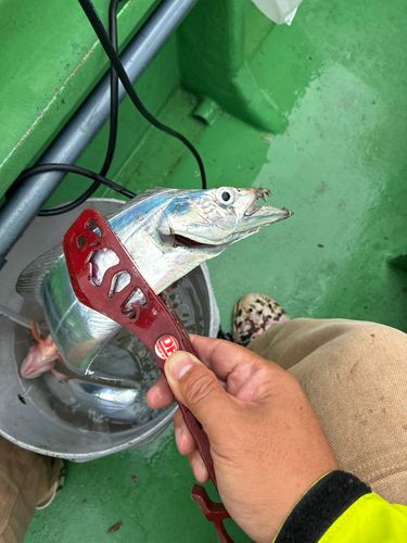 走水