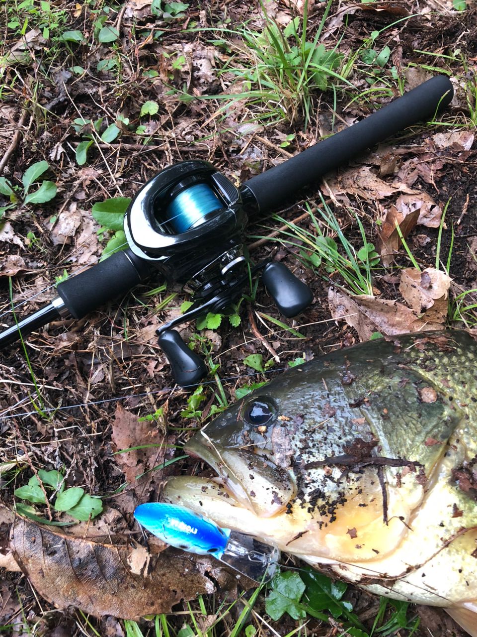 SHIMANO 21スコーピオン XV 1652R-2の最安値・インプレ・釣果