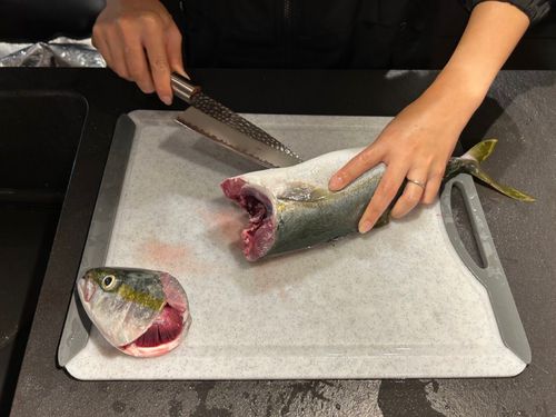 ブリの釣果