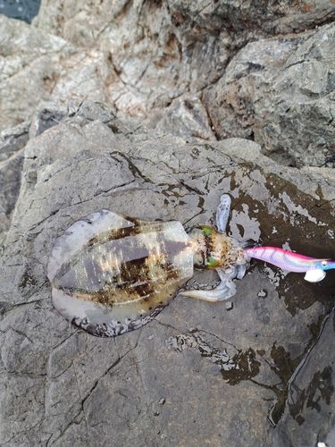 津軽半島