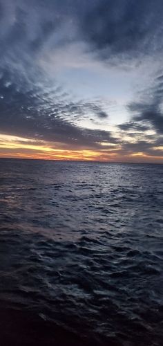 鶴岡沖
