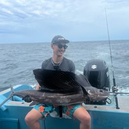 バショウカジキ