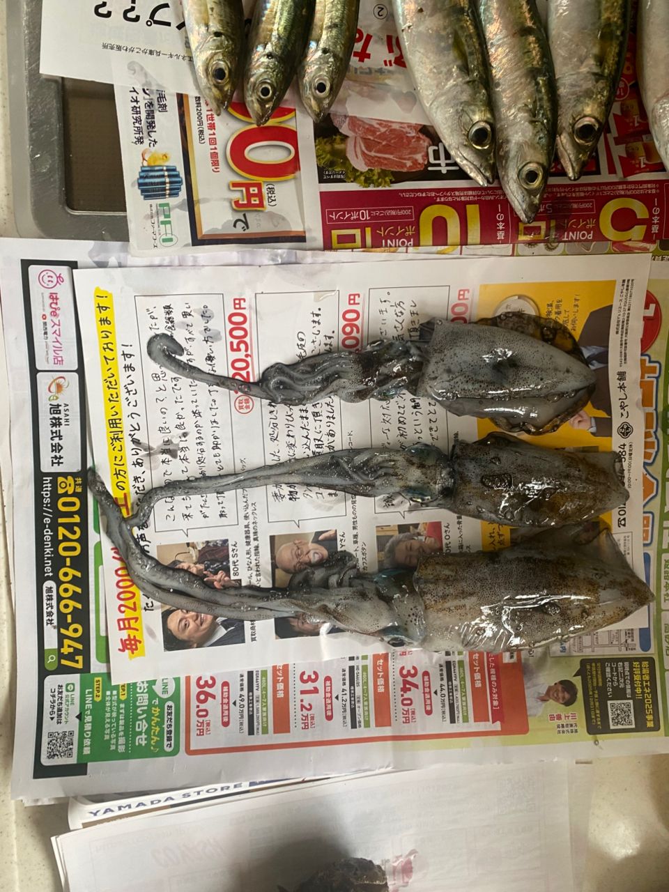 アジ