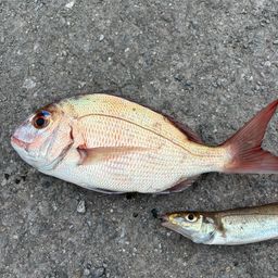 タイ