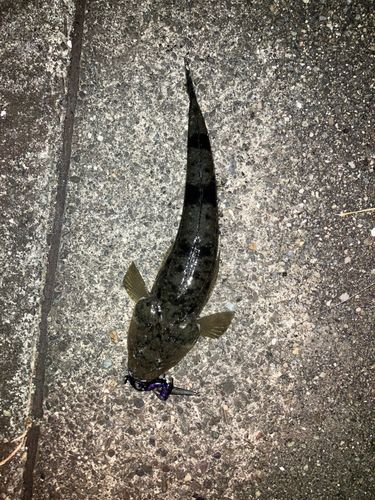 紀伊水道