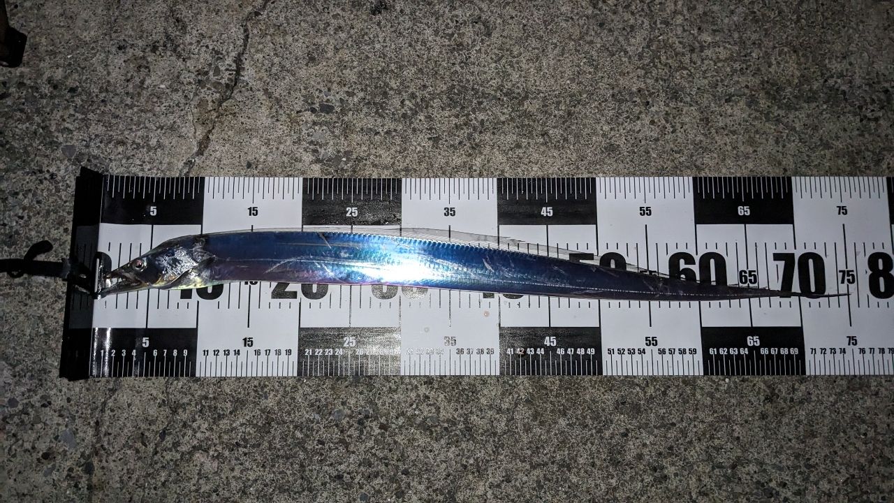 MajorCraft 「三代目」クロステージ シーバス CRX-902MLの最安値