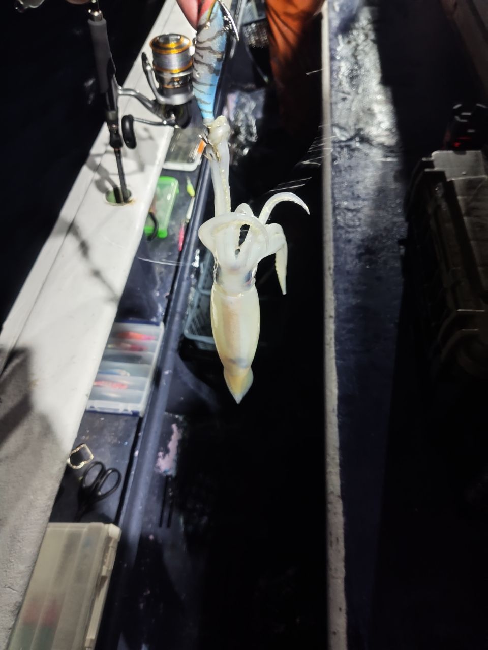 K.a.z.u.さんの釣果 1枚目の画像