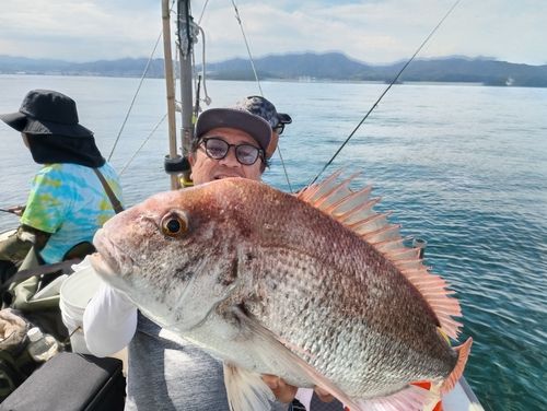 マダイの釣果