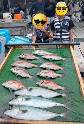 タイの釣果