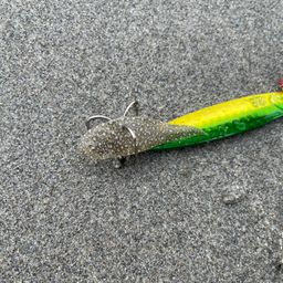 ウシノシタ