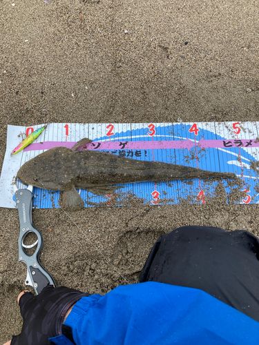 仙南サーフ
