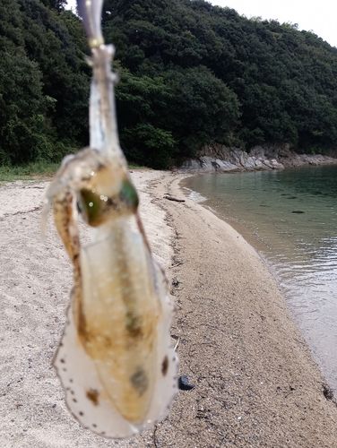 周防大島（屋代島）