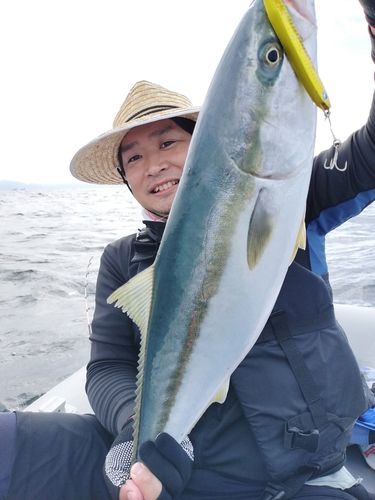 ワラサの釣果