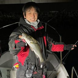 シーバス