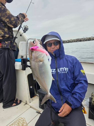ショゴの釣果