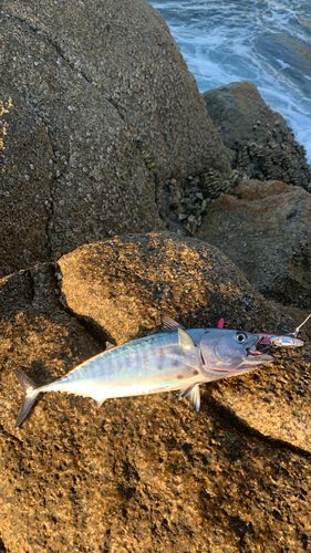 大隅海峡
