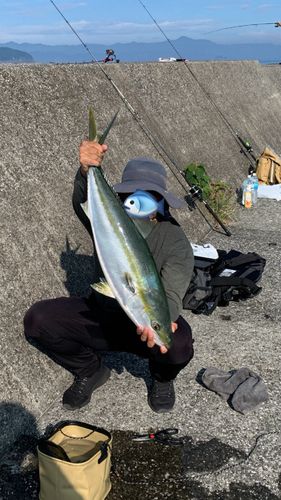 鮪浦