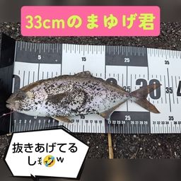 ショゴ