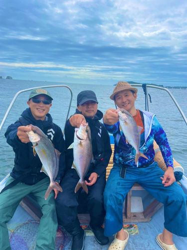 カンパチの釣果
