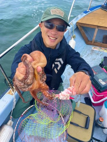 タコの釣果