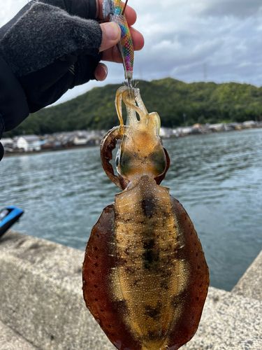 栗田湾