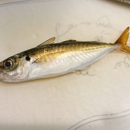 アジ