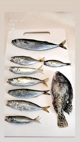 大磯海岸