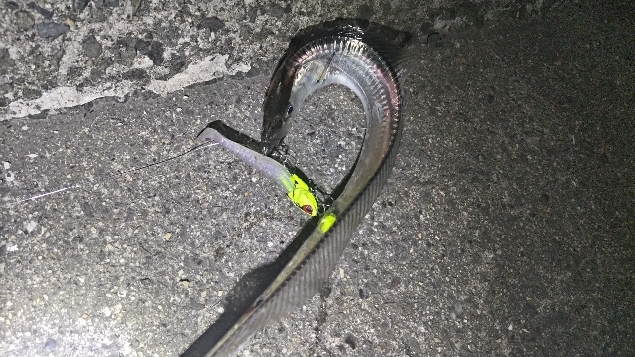 タチウオ