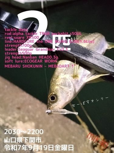 響灘