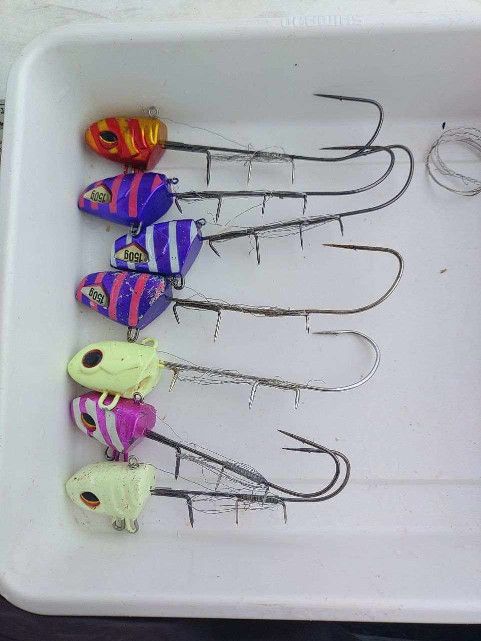 Devilrayさんの釣果 2枚目の画像