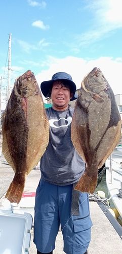 ヒラメの釣果