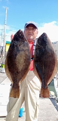 ヒラメの釣果
