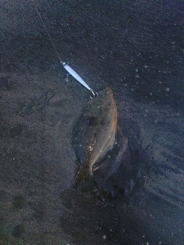 三陸海岸（青森）