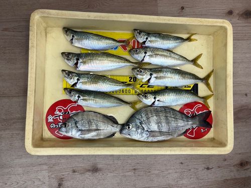 和歌浦湾