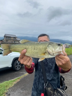 ラージマウスバスの釣果