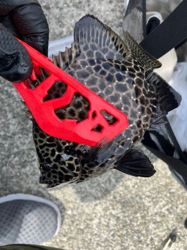 大蔵海岸