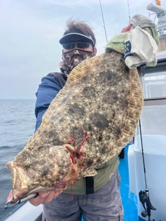 ヒラメの釣果