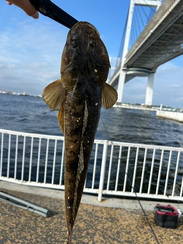 東京湾（アクアライン〜富津）