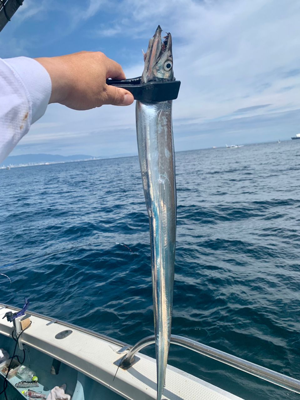 わじゅけんさんの釣果 2枚目の画像