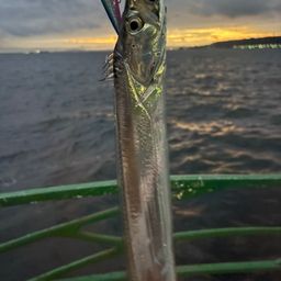 タチウオ