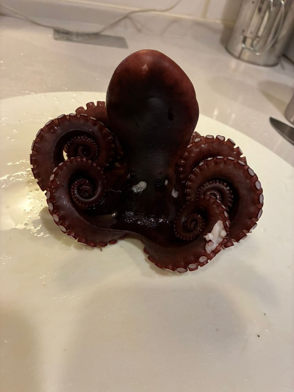 Ryu®️さんの釣果 3枚目の画像