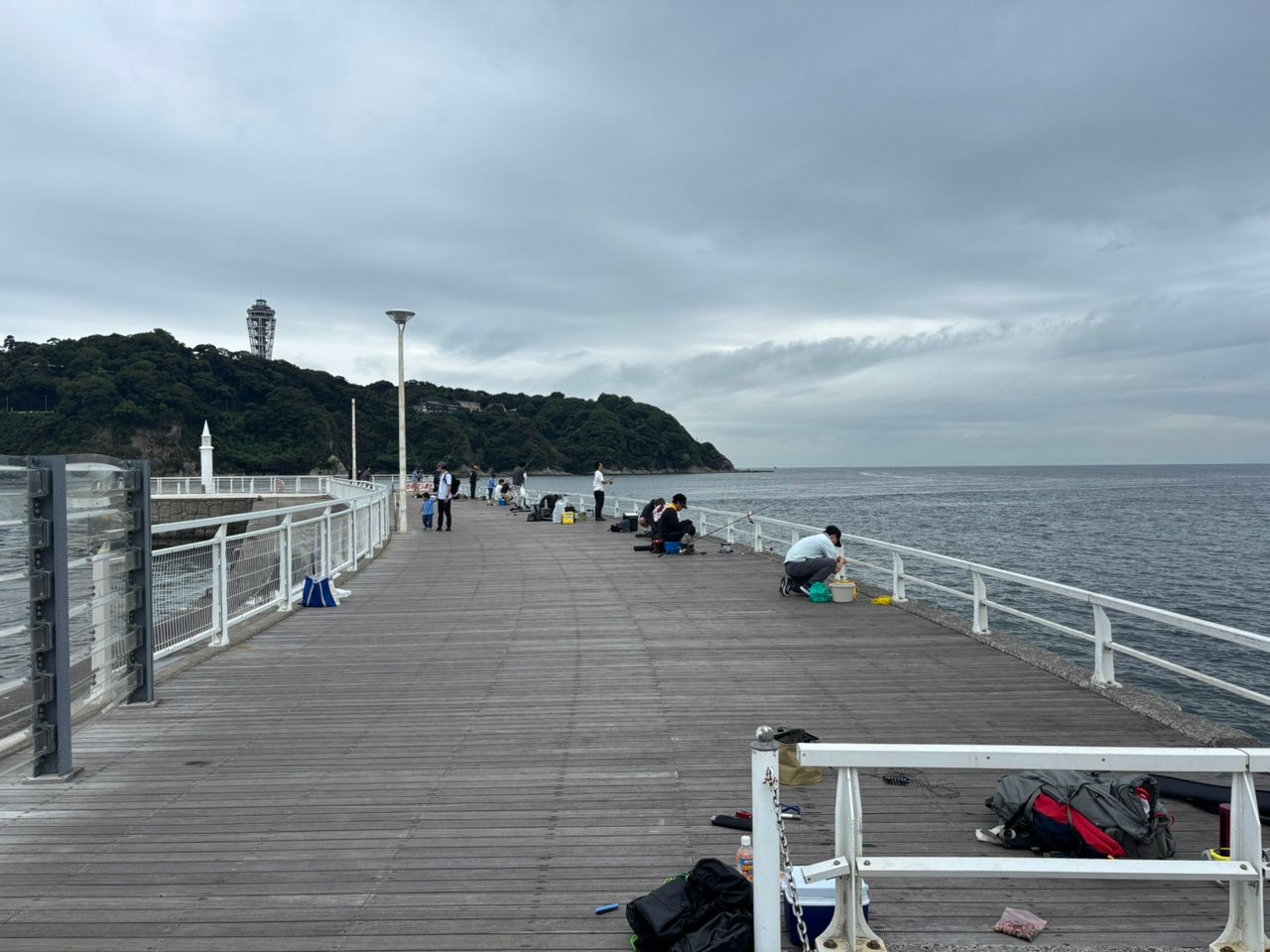 シロギス