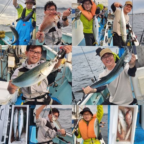 サワラの釣果