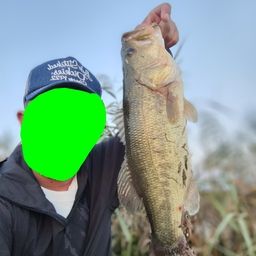 ブラックバス