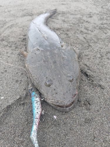 辻堂海浜公園前