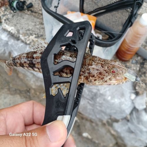 表浜名湖